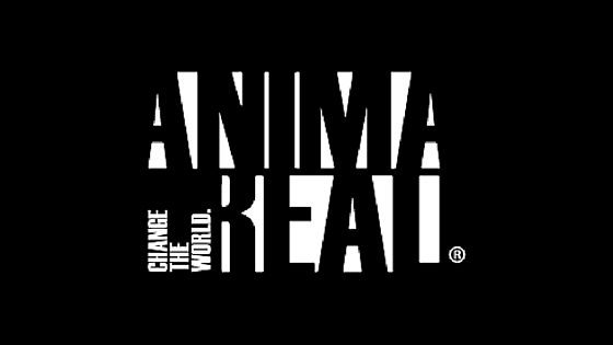 ANIMAREAL