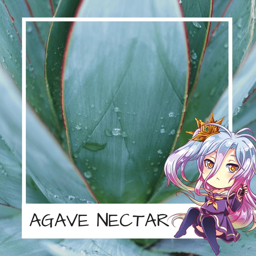 agave-nectar