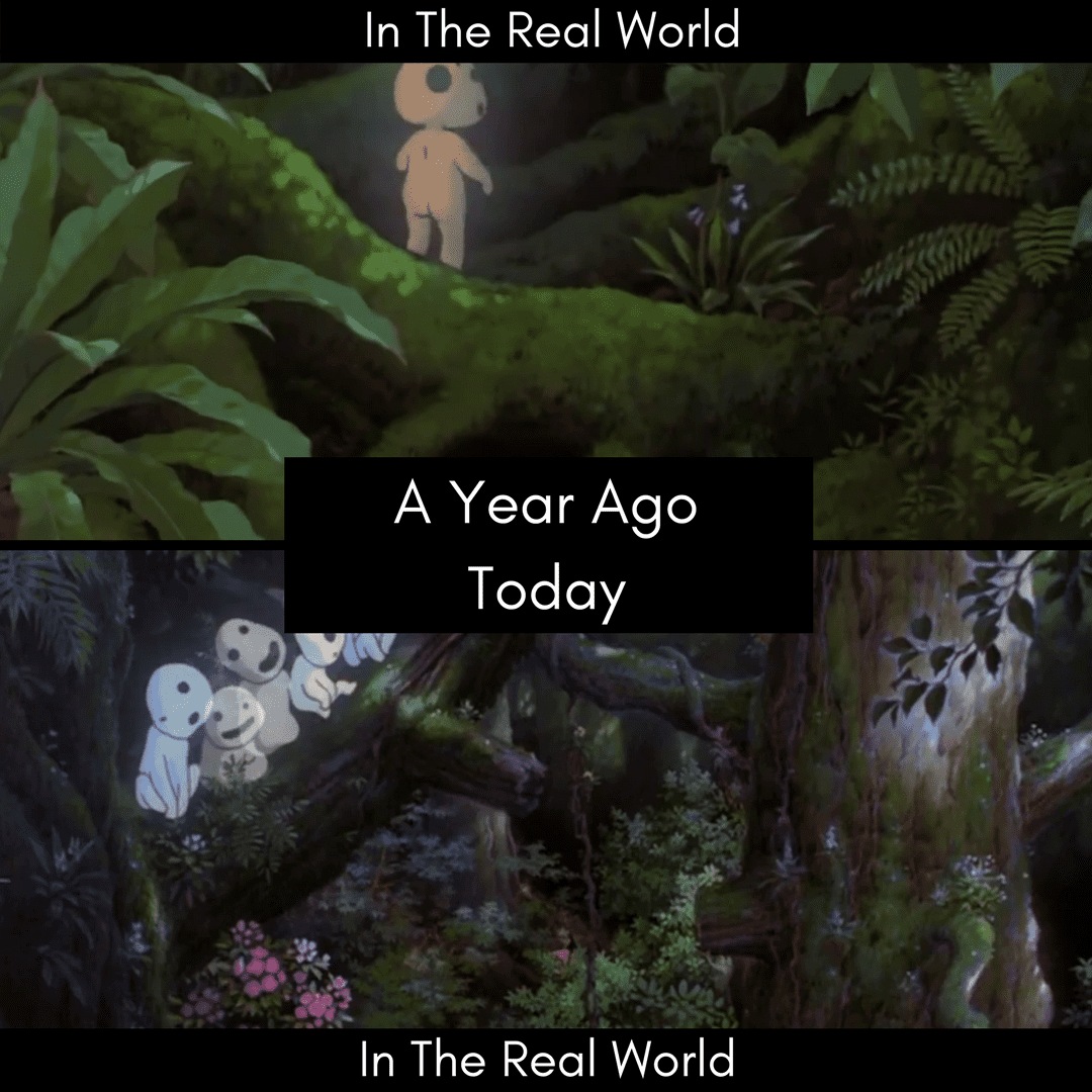 AYA: 19 December 2017 10 AYA: 19 December 2017