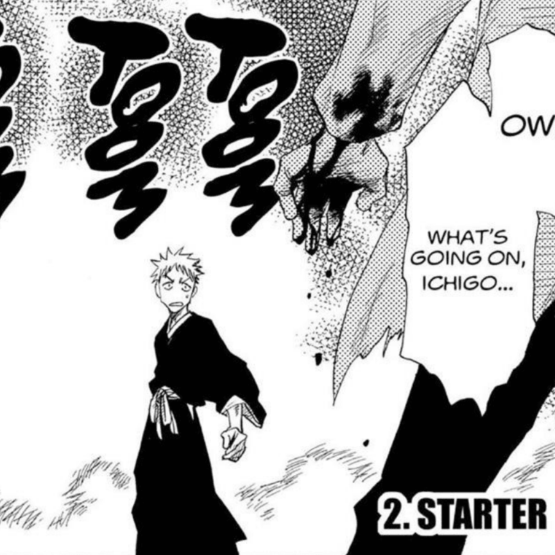 Bleach Starter AllAnimeMag
