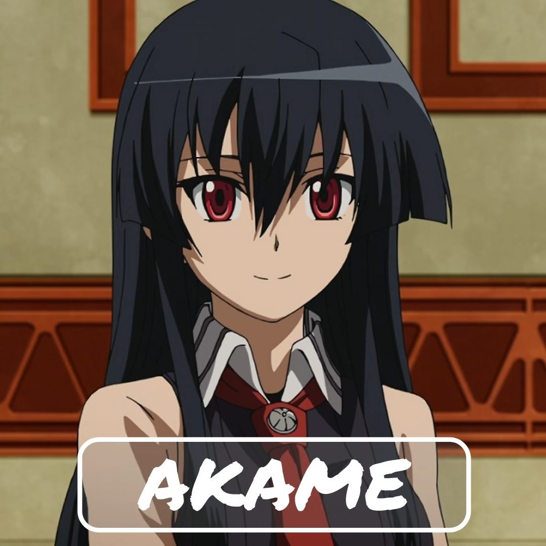 Akame, a Deadly Assassin