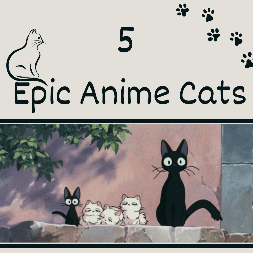 5 Epic Anime Cats
