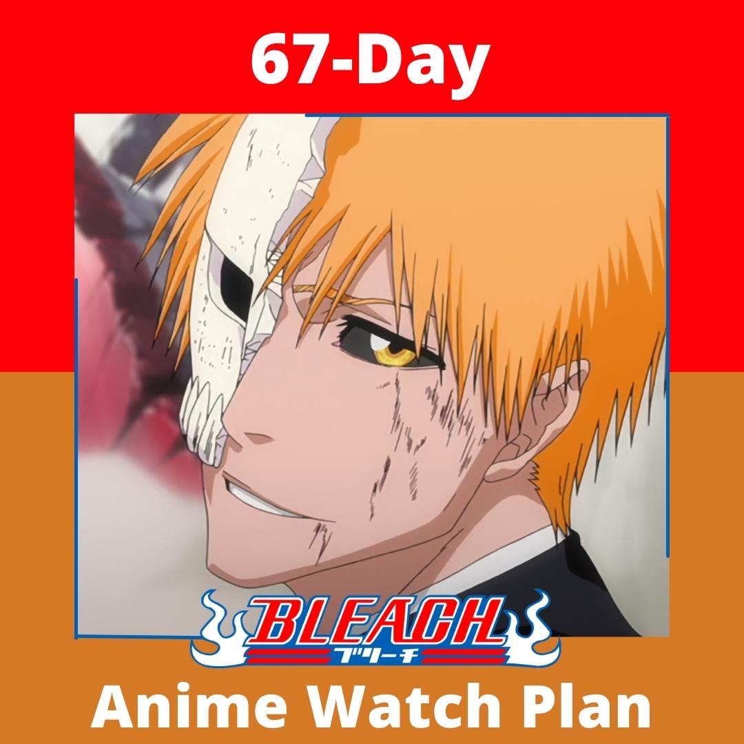 Watch Bleach anime in 67 day plan