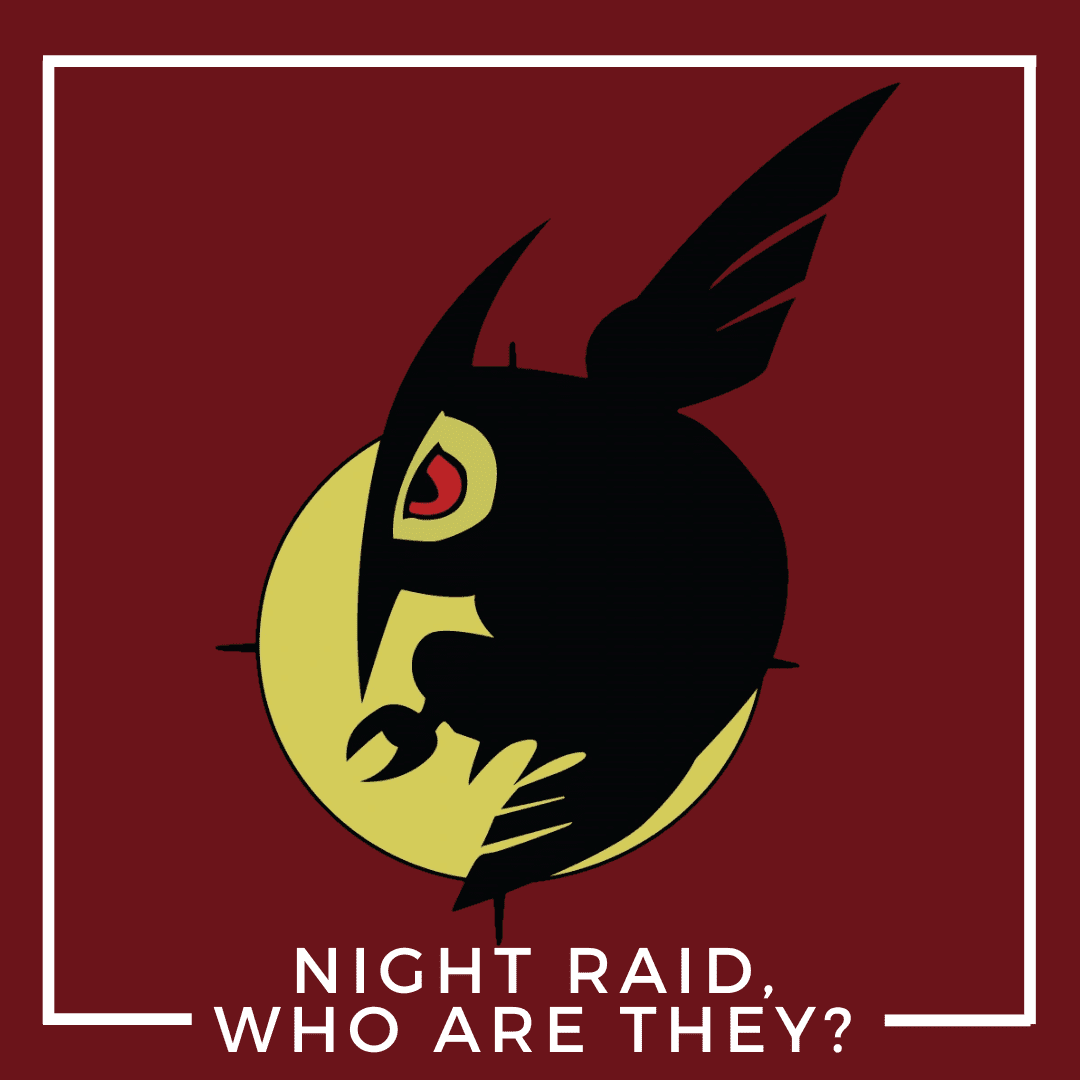 Night Raid, Who Are They?
