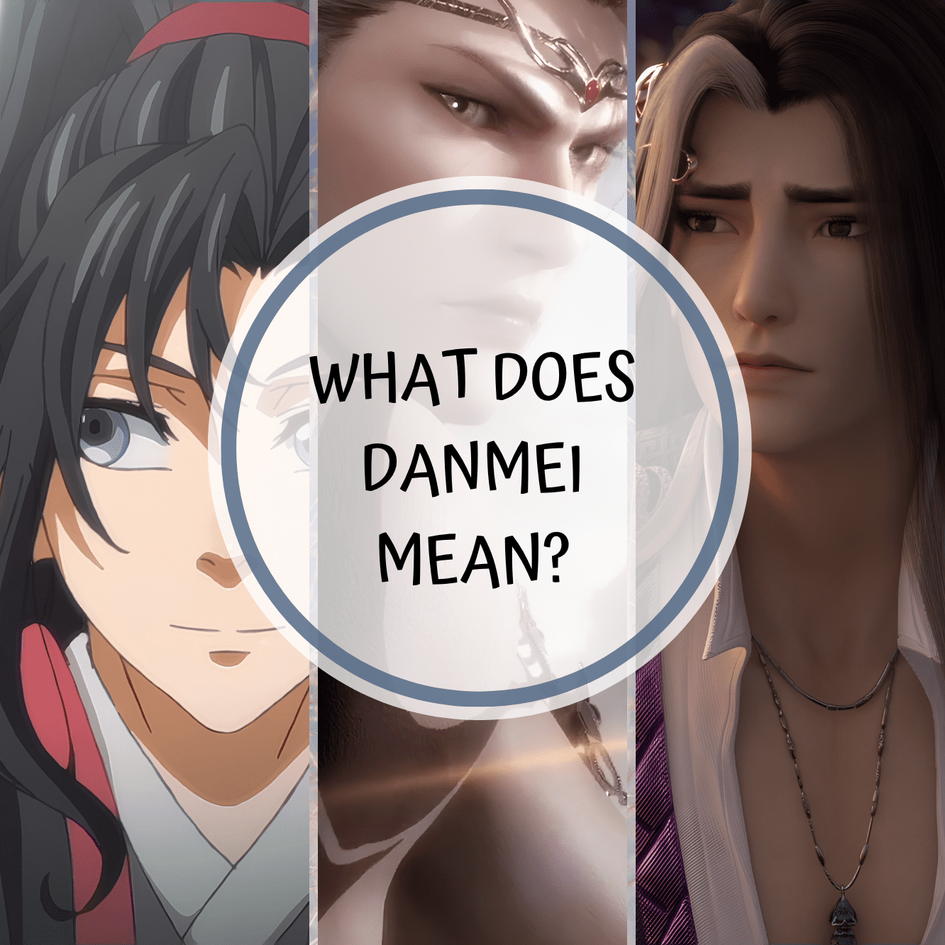 What is Danmei?
